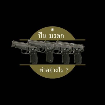 ปืน มรดก