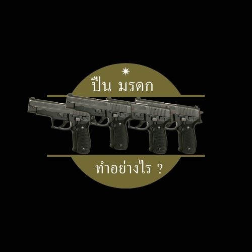 ปืน มรดก